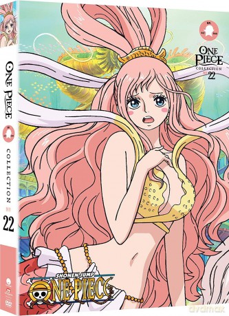 One Piece - Collection 22 [DVD]