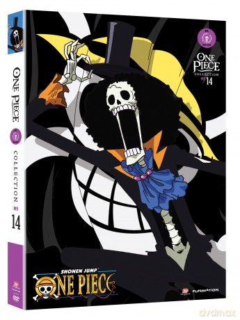 One Piece: Collection 14 [DVD]