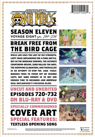One Piece: Season Eleven, Voyage Eight [2xBlu-Ray]+[2xDVD]