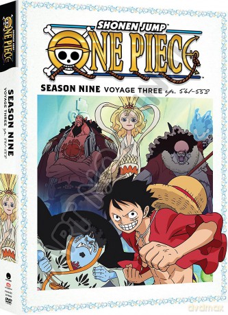 One Piece: Season Nine, Voyage Three [DVD]