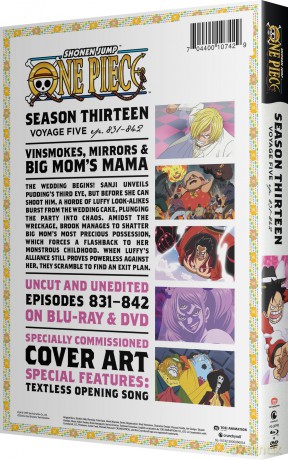 One Piece: Season Thirteen - Voyage Five [2xBlu-Ray]+[2xDVD]