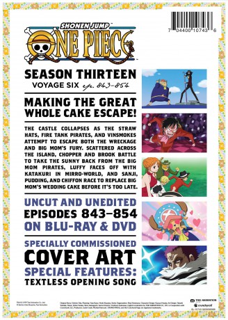 One Piece: Season Thirteen - Voyage Six [2xBlu-Ray]+[2xDVD]