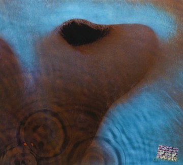 Pink Floyd: Meddle [CD]
