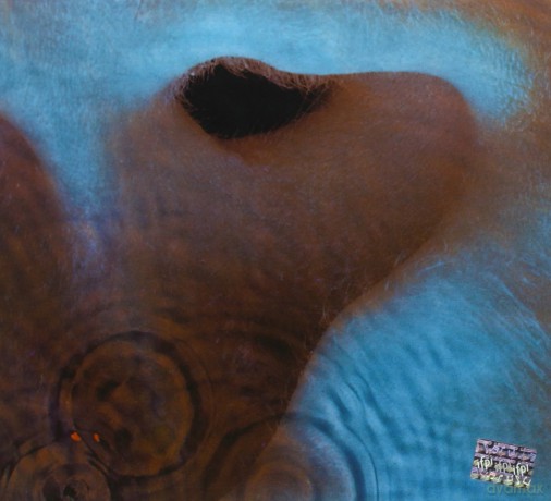 Pink Floyd: Meddle [CD]