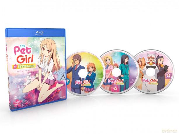 Pet Girl Of Sakurasou [DVD]