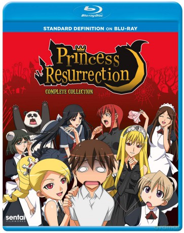 Princess Resurrection [DVD]