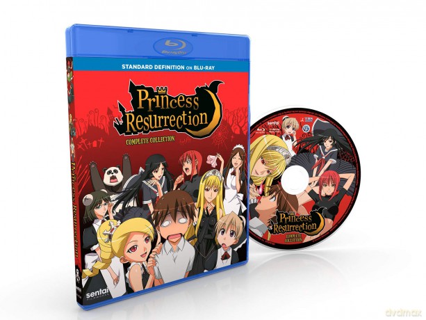 Princess Resurrection [DVD]