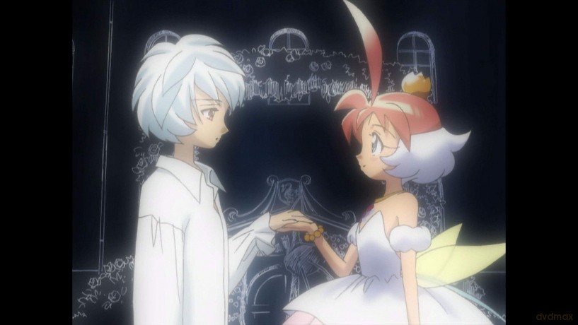 Princess Tutu: Complete Collection [DVD]