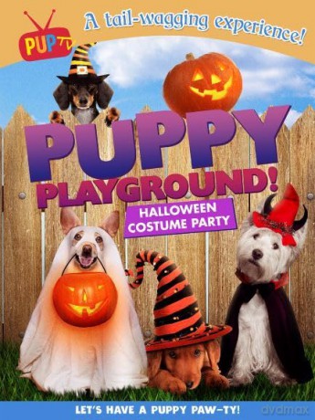 Puppy Playground: Halloween Party [DVD]