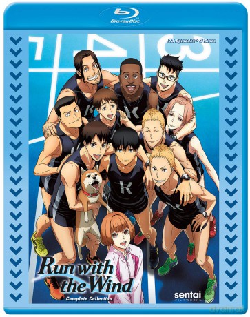 Run With The Wind [DVD]