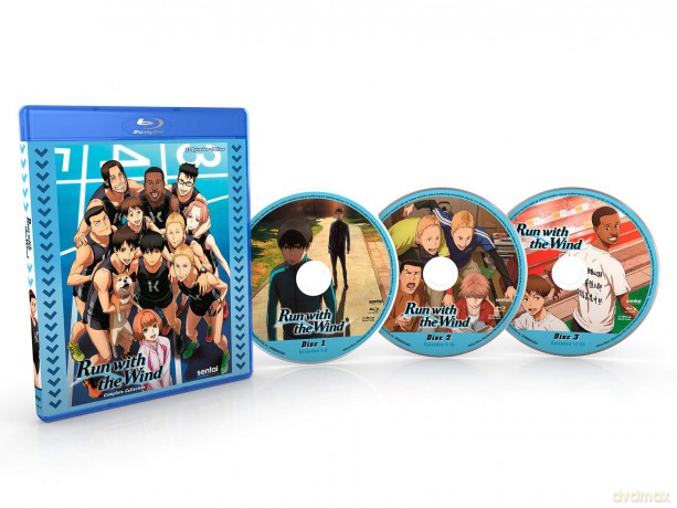 Run With The Wind [DVD]