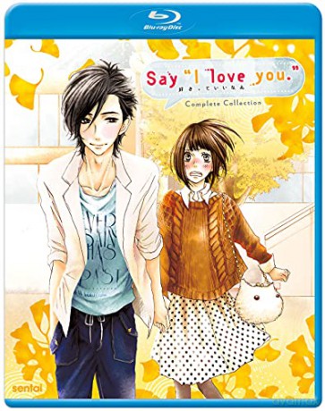 Say I Love You [DVD]