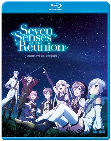 Seven Senses Of The Reunion [DVD]