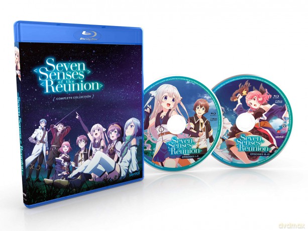 Seven Senses Of The Reunion [DVD]