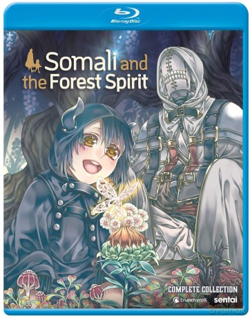 Somali And The Forest Spirit [DVD]