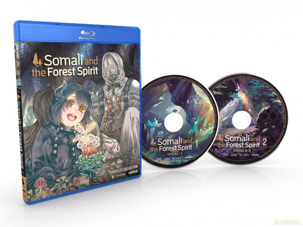 Somali And The Forest Spirit [DVD]