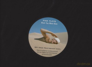 Pink Floyd: Wish You Were Here [Winyl]