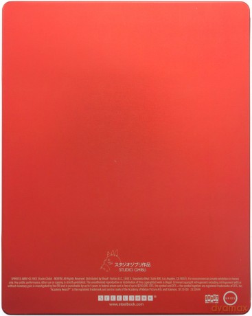 Spirited Away (Spirited Away: W krainie bogów) (steelbook) [Blu-Ray] + [DVD]