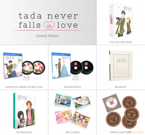 Tada Never Falls In Love: Premium Box Set [DVD]