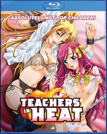 Teachers In Heat [DVD]