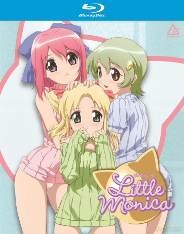 The Story Of Little Monica [DVD]