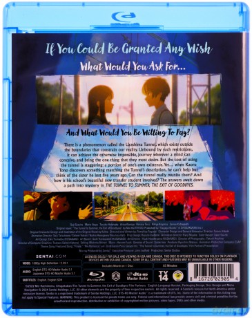 The Tunnel to Summer, the Exit of Goodbyes [Blu-Ray]