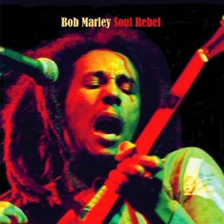Bob Marley: Soul Rebel  [WINYL]