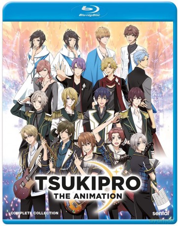 Tsukipro The Animation [DVD]