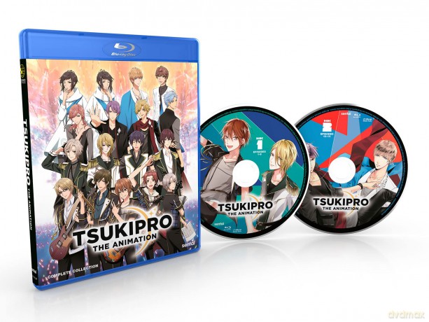 Tsukipro The Animation [DVD]