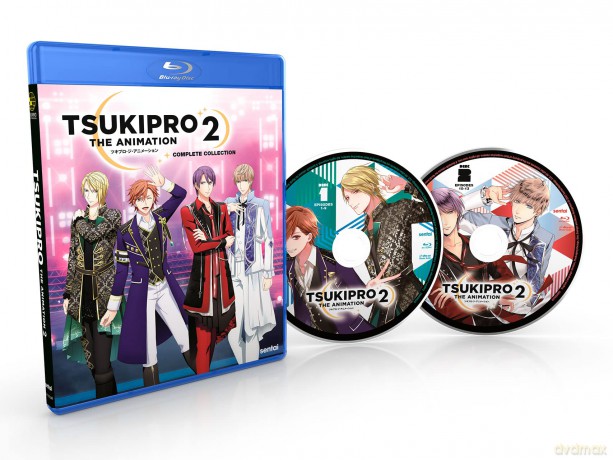 Tsukipro The Animation 2 [DVD]