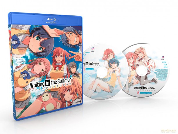 Waiting In The Summer [DVD]