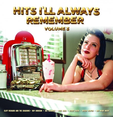 Hits I'Ll Always Remember Vol. 3 [Winyl]