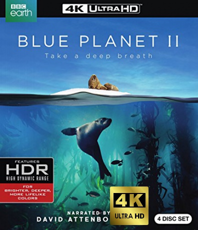 Blue Planet II (Błękitna planeta II) [2xBlu-Ray 4K]+[2xBlu-Ray]