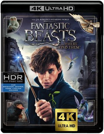 Fantastic Beasts and Where to Find Them (Fantastyczne zwierzęta i jak je znaleźć) [Blu-Ray 4K]+[Blu-Ray]