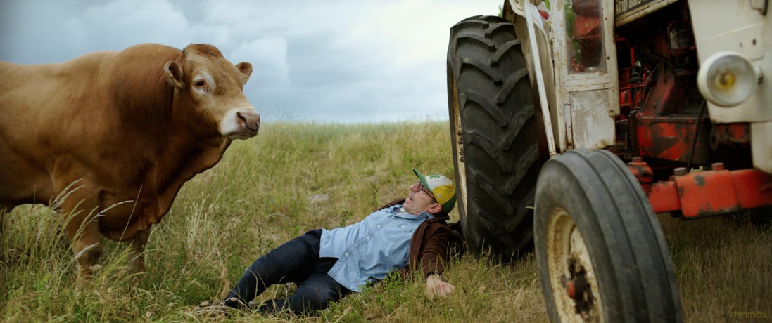 5 HECTARES - DVD [DVD]
