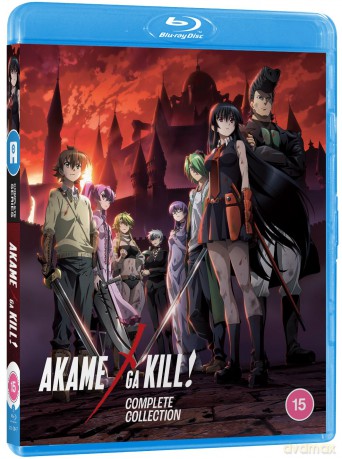 Akame Ga Kill! (Standard Edition) [Blu-Ray]