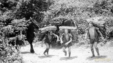Akira Kurosawa - Samurai Edition (5 Disc Set) [DVD]