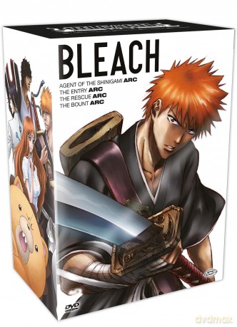 Bleach Box 1 (Arc 1-4) (13 Dvd) [DVD]