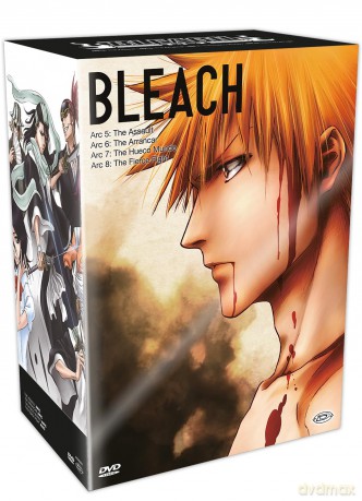 Bleach Box 2 (Arc 5-8) (11 Dvd) [DVD]
