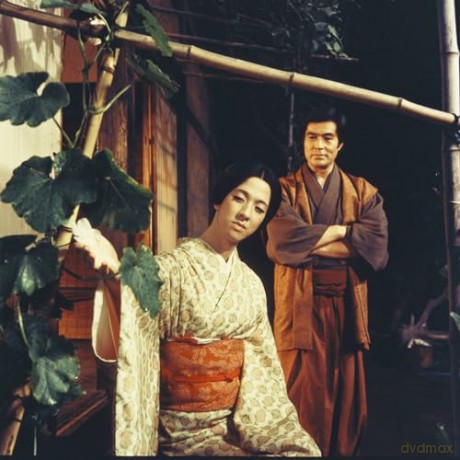 Demon Pond + Pale Flower (OmU) [DVD]