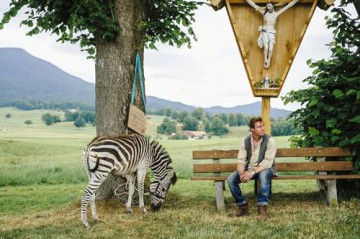 Frühling - Ein Zebra im Gepäck [DVD]