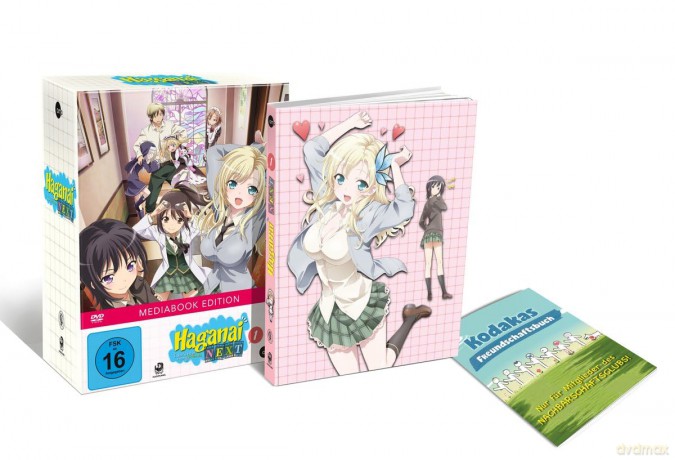 Haganai Next (Volume 1) [DVD]