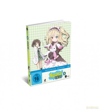Haganai Next (Volume 2) [DVD]