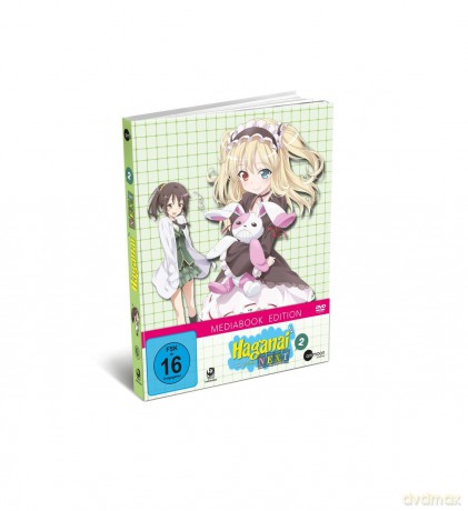 Haganai Next (Volume 2) [DVD]