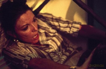 In der Gewalt der Riesenameisen (Empire of the Ants) Tier Horror-Klassiker: Einer der besten Ameisen- Monsterfilme aller Zeiten [DVD]