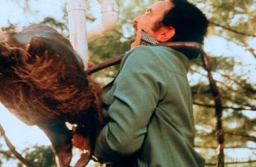 In der Gewalt der Riesenameisen (Empire of the Ants) Tier Horror-Klassiker: Einer der besten Ameisen- Monsterfilme aller Zeiten [Blu-Ray]
