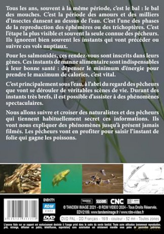 Le bal des mouches [DVD]