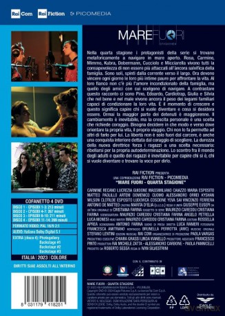 Mare Fuori - STG 4 (4 Dvd) [DVD]