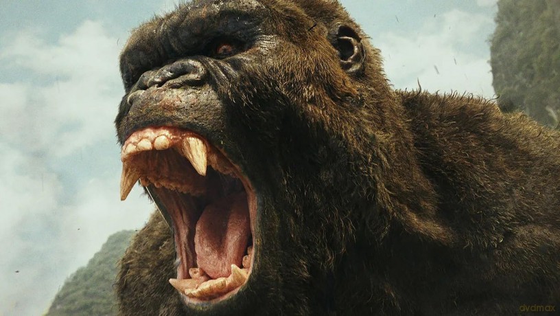 Monsterverse: Godzilla/Kong: Wyspa Czaszki/Godzilla II: Król potworów/Godzilla vs. Kong/Godzilla i Kong: Nowe imperium [10xBlu-Ray 4K]