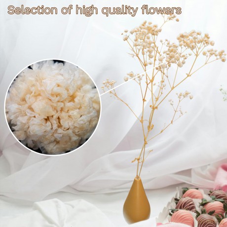 Naunauya Baby's Breath [DVD]